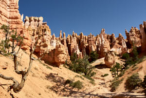 USA Bryce Canyon<br>NIKON D200, 20 mm, 100 ISO,  1/350 sec,  f : 8 